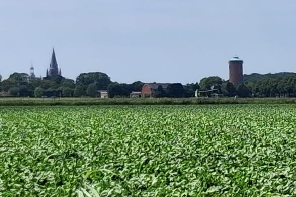Senioren vereniging Kruisland: 9 september 2026